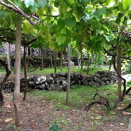 Holidays Madeira São Vicente Buitenkant foto