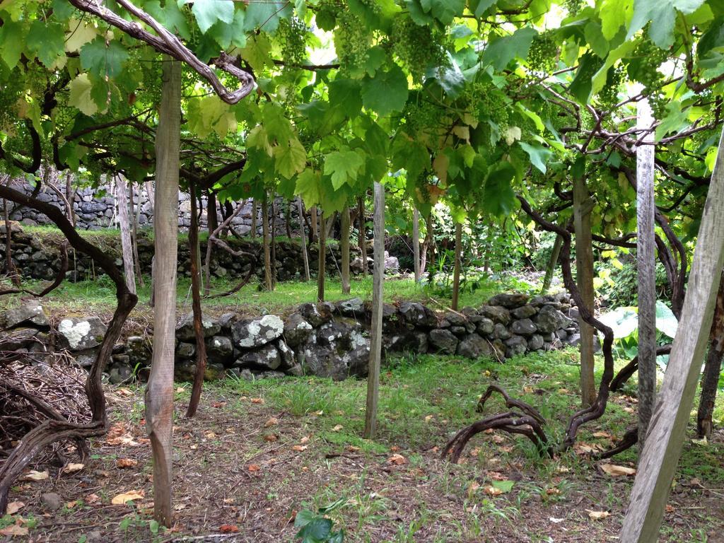 Holidays Madeira São Vicente Buitenkant foto